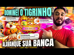 melhor horário para jogar fortune ox hoje